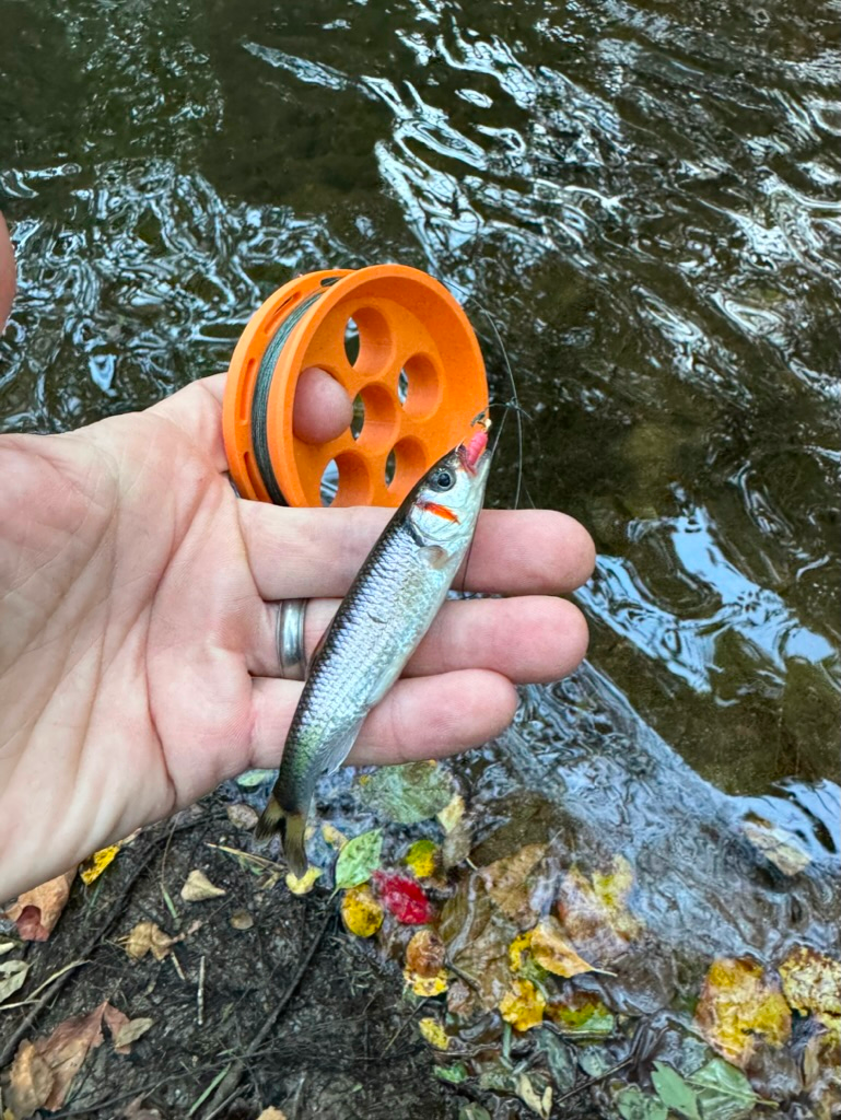 Rodless Hand Reel