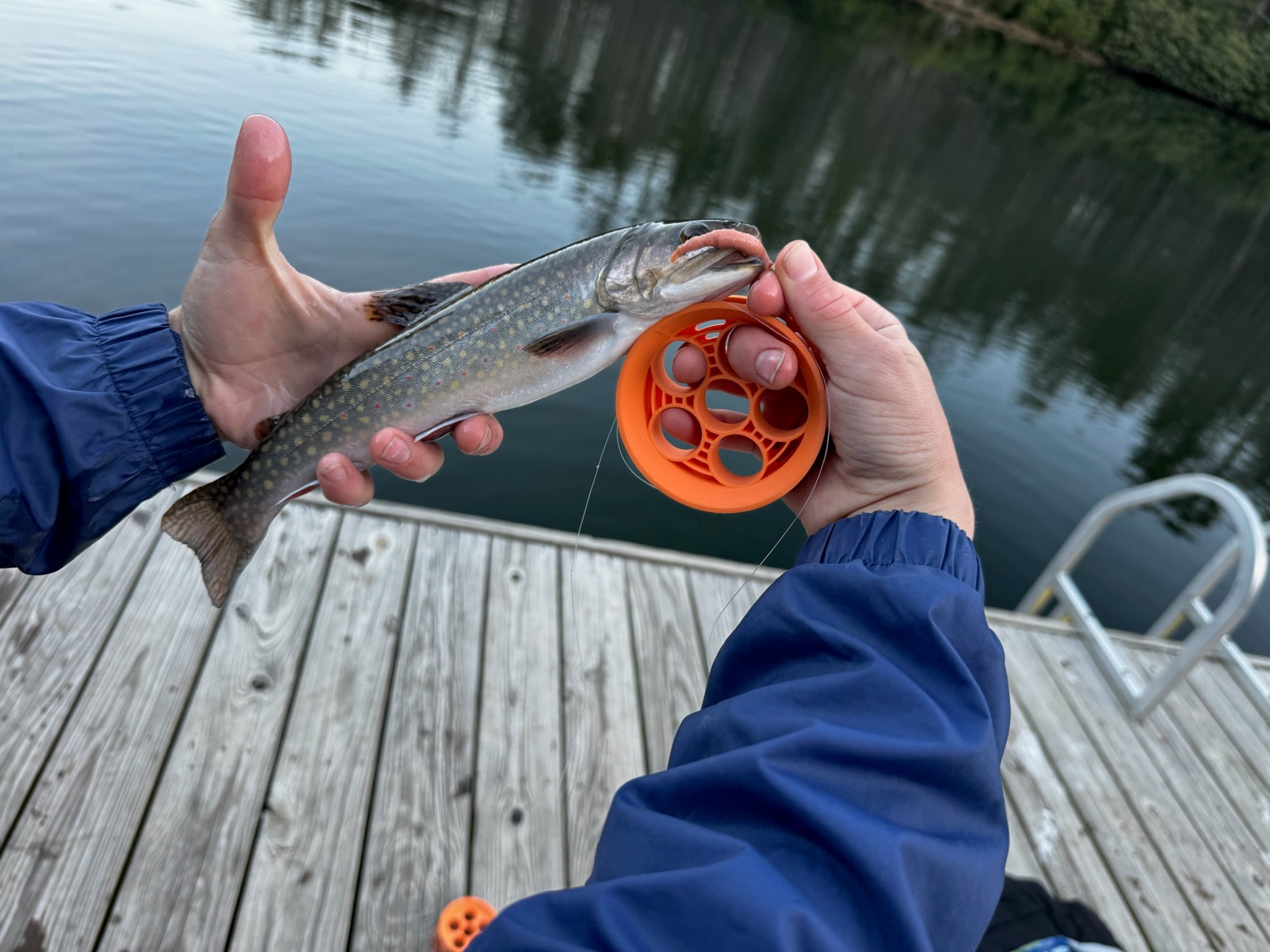 Brook Trout on a Dock