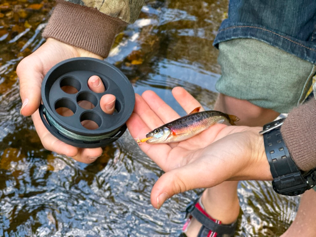 The Minimalist Angler: Exploring the World of Microfishing with a Hand Reel