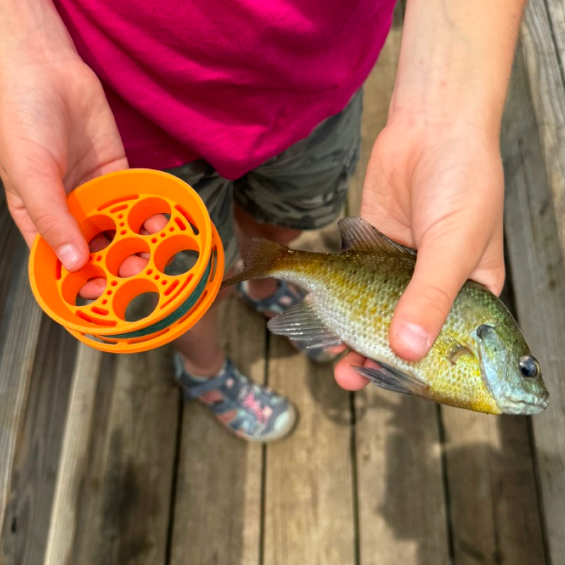 Outdoor Fishing Kit for Families: Make Fishing Easy and Fun with the GoReel Handline Kit