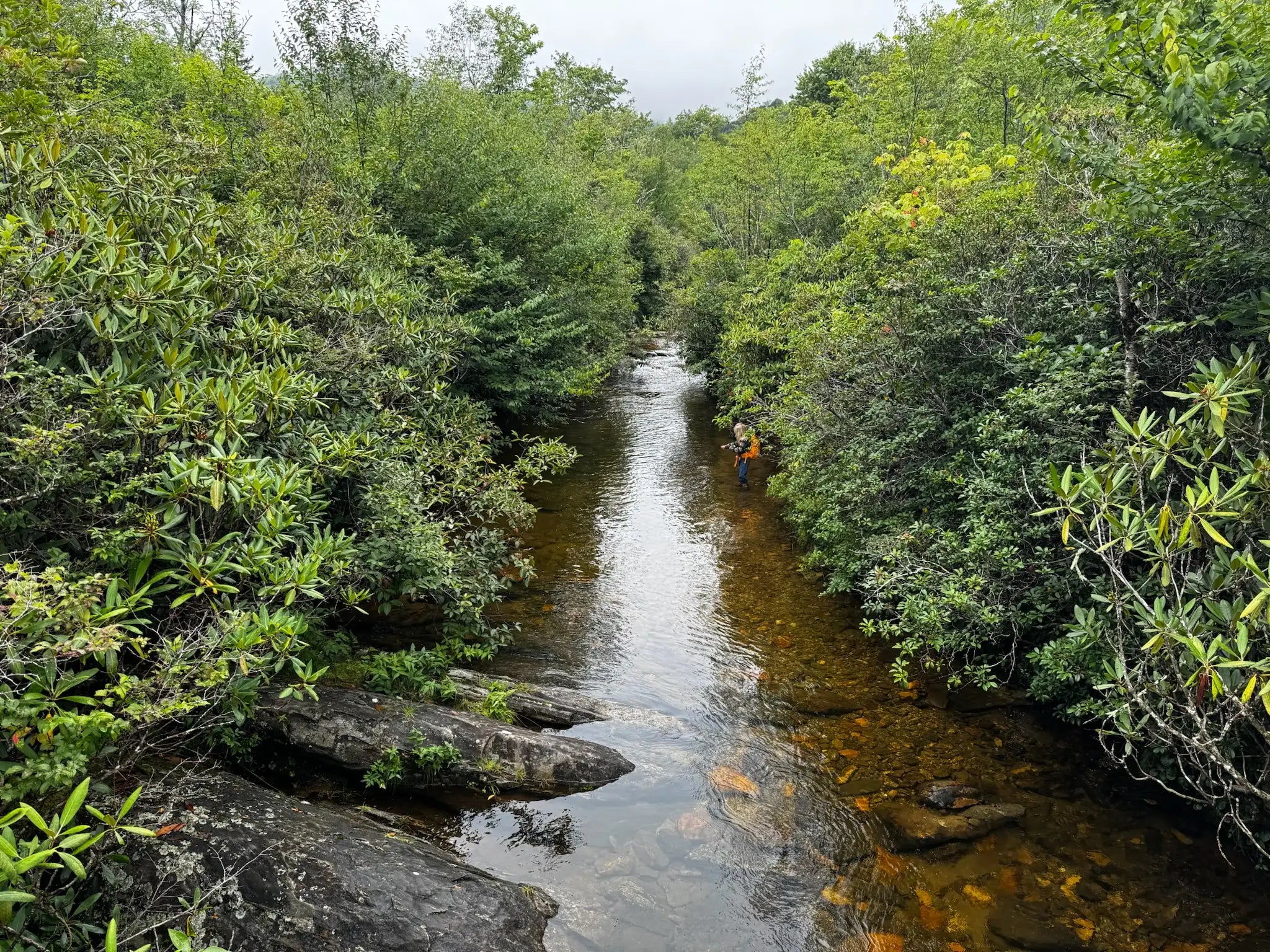The Ancient Art of Timing: When Hand Reel Fishing Comes Alive