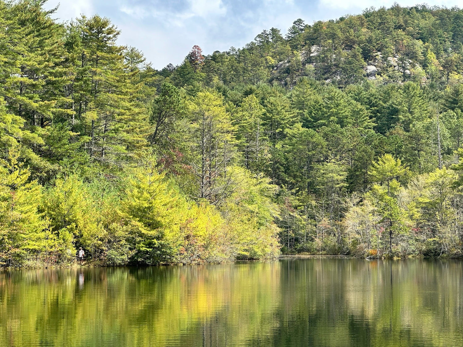 Dupont State Forest: A Hand Reel Fishing Guide