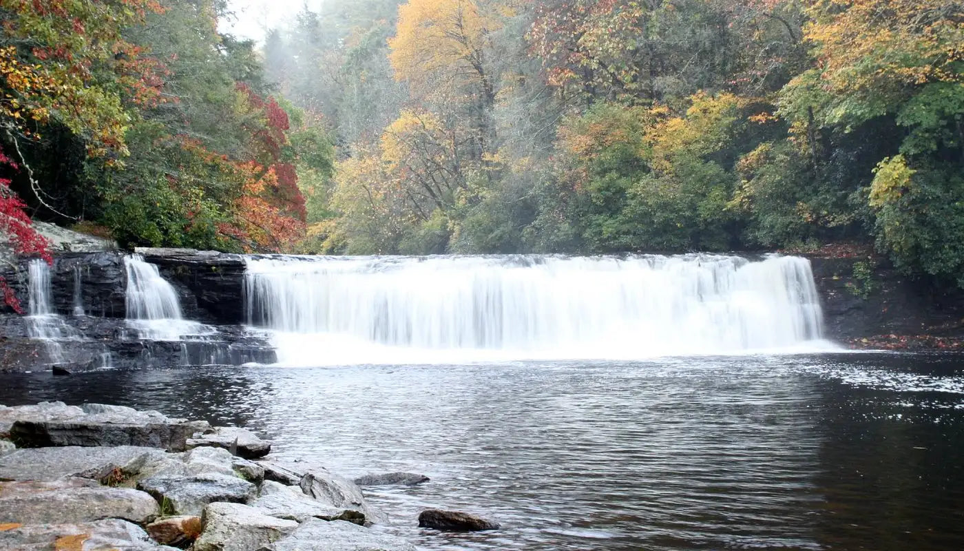 DuPont State Forest: A Hand Reel Angler's Guide